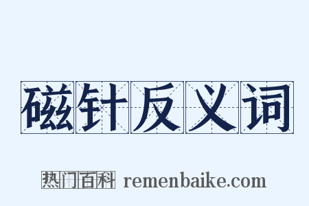 磁针反义词是什么意思的图片